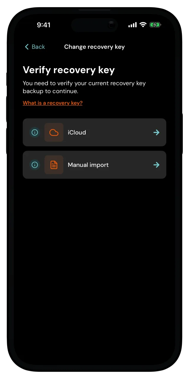 Verify recovery key screen with the iCloud and Manual import options