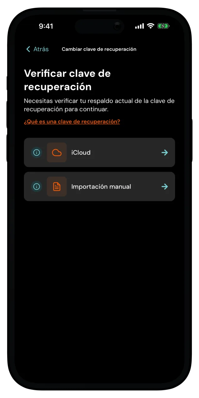 Pantalla Verificar clave de recuperación con las opciones iCloud e Importación manual