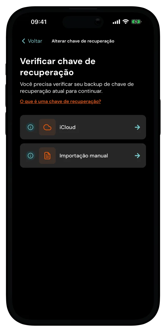 Tela Verificar chave de recuperação com as opções iCloud e Importação manual